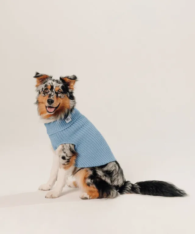 Rodier Pullover cane coste grigio a righe