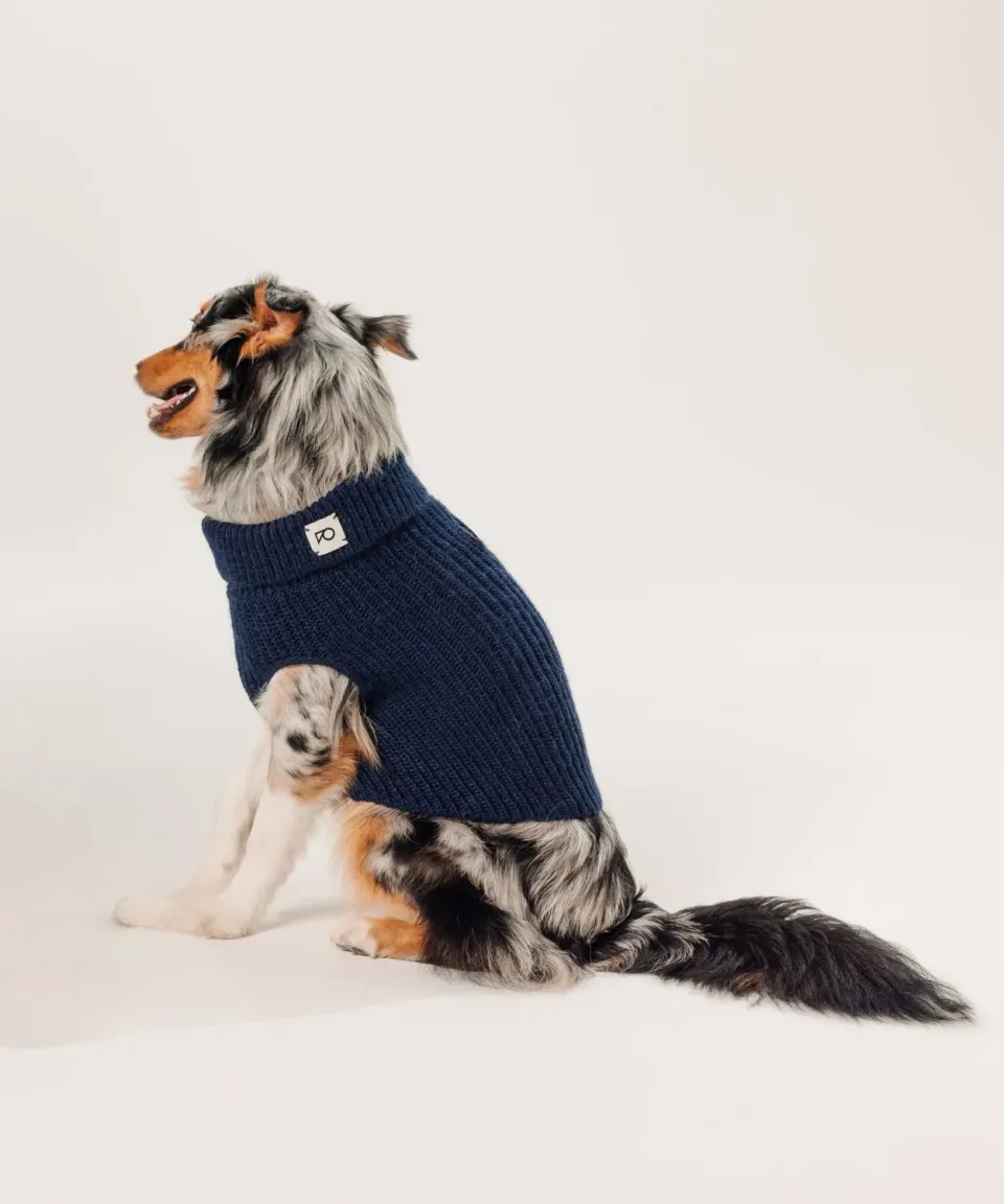 Rodier maglioncino per cani coste blu navy collo alto