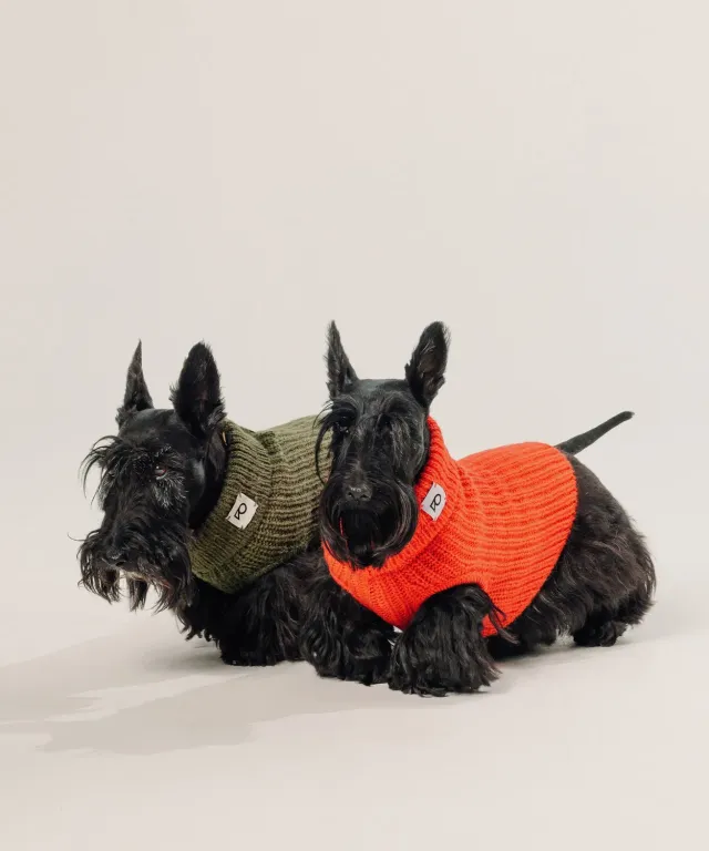 Rodier Pullover per Cani a Coste Arancione
