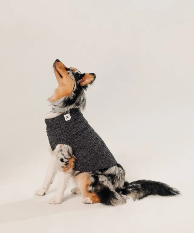 Rodier Maglione per Cani Grigio Antracite a Coste