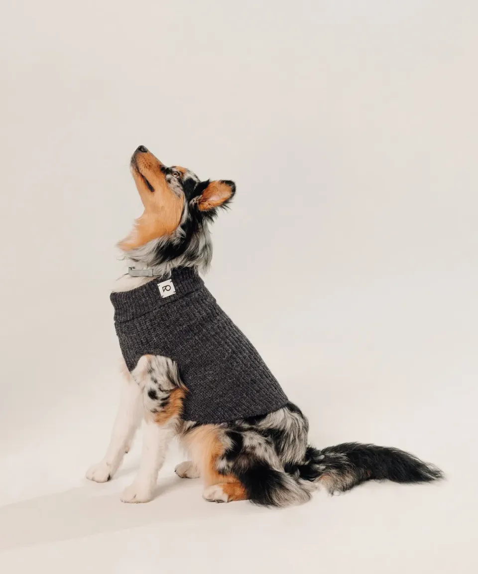 Rodier Maglione per Cani Grigio Antracite a Coste